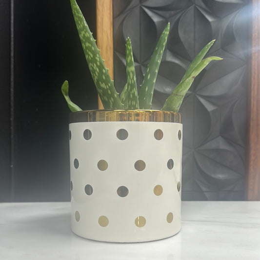 Gold and polka dot vase