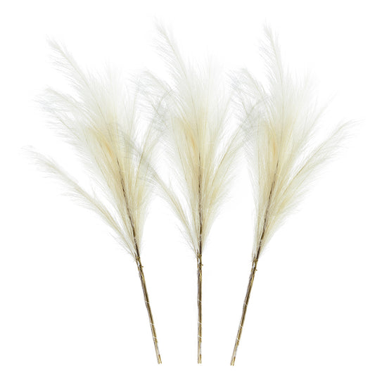 Natural Pampas Grass